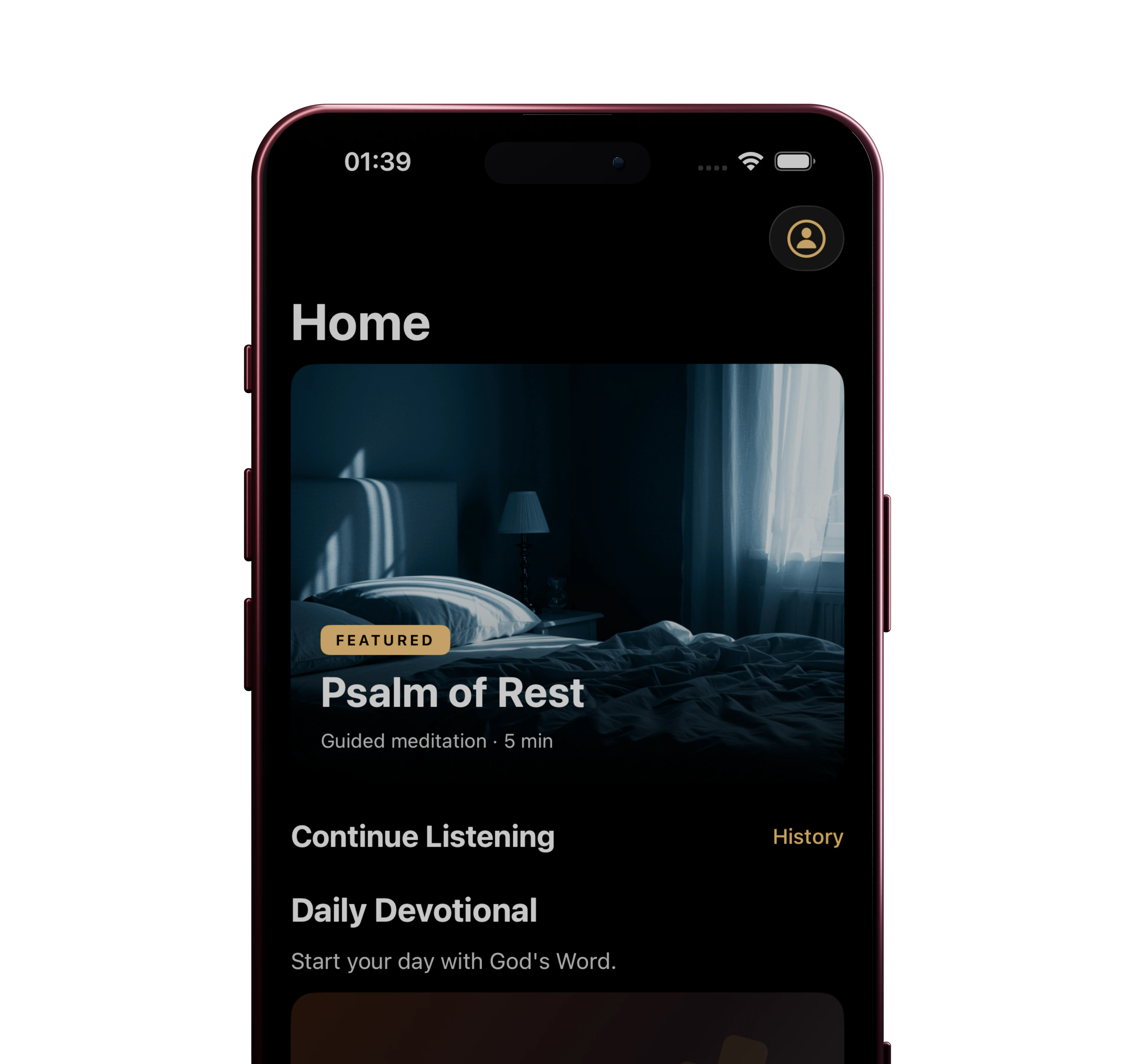 HolyCalm on a burgundy iPhone 17 Pro Max
